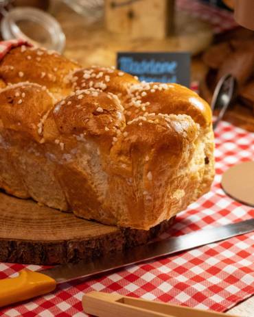 photo newsletters (4)